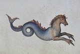 Equus+Maris